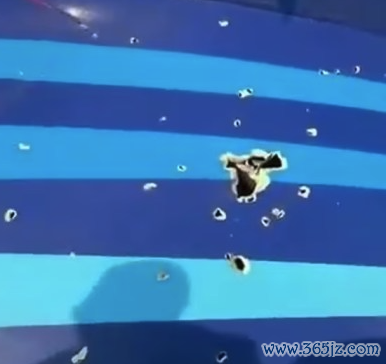 (起头:酬酢媒体)