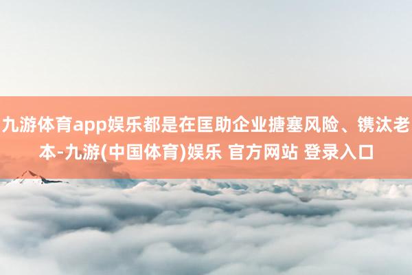 九游体育app娱乐都是在匡助企业搪塞风险、镌汰老本-九游(中国体育)娱乐 官方网站 登录入口