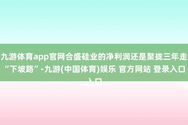 九游体育app官网合盛硅业的净利润还是聚拢三年走“下坡路”-九游(中国体育)娱乐 官方网站 登录入口