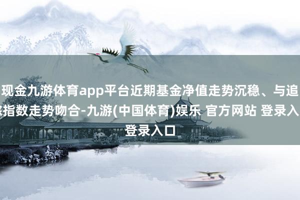 现金九游体育app平台近期基金净值走势沉稳、与追踪指数走势吻合-九游(中国体育)娱乐 官方网站 登录入口